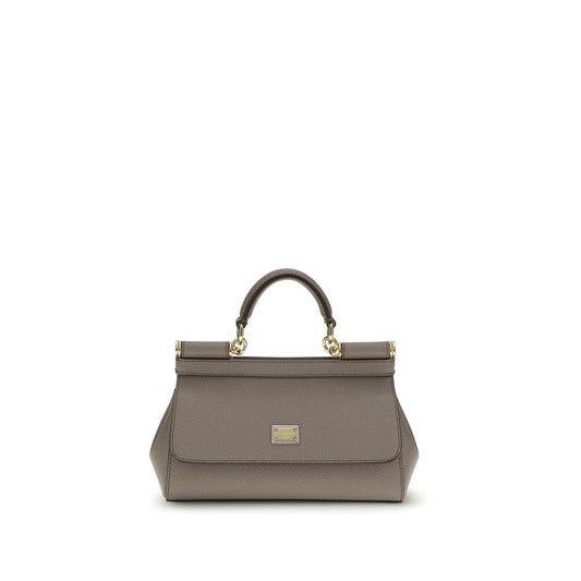 Dolce & Gabbana Gray Calf Leather Bos Taurus Handbag