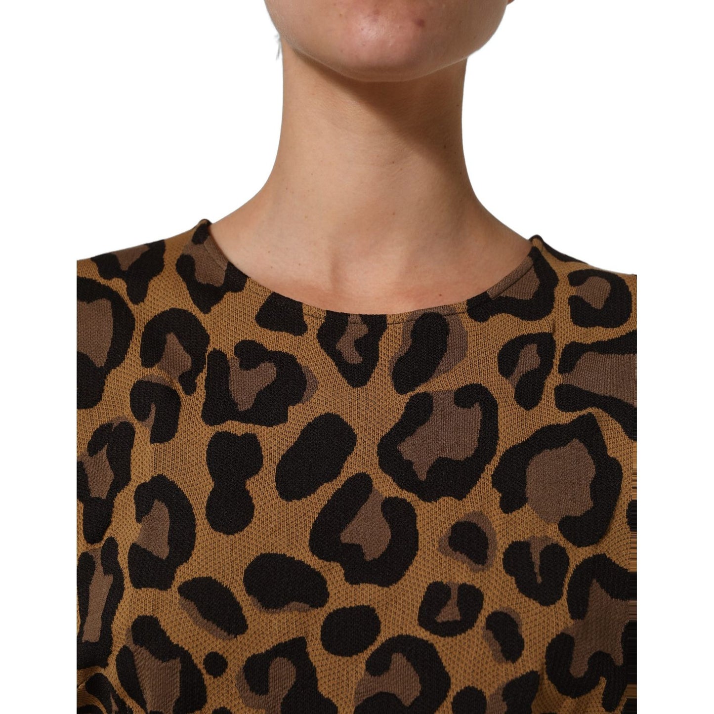 Dolce & Gabbana Brown LeopardPrint Flared A-line Mini Dress