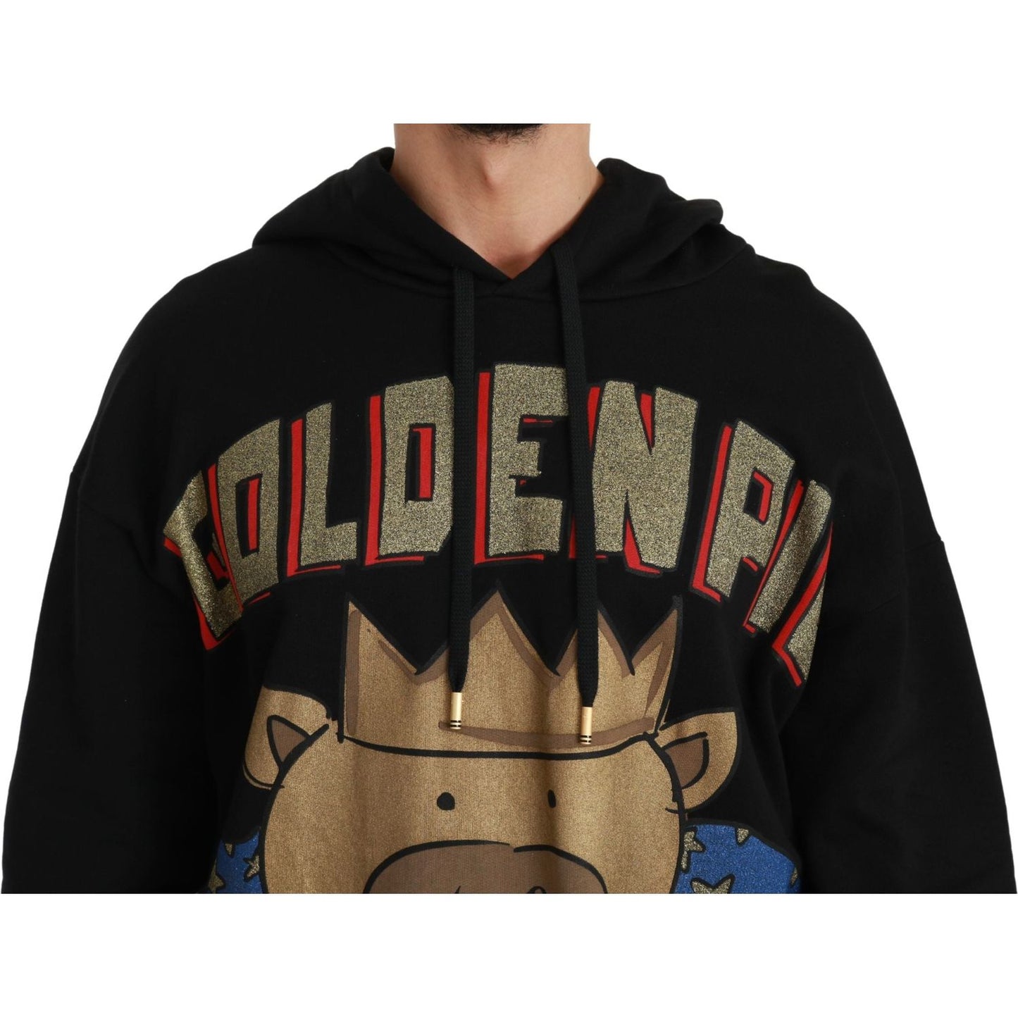 Dolce & Gabbana Elegant Hooded Pullover With Regal Motif Dolce & Gabbana