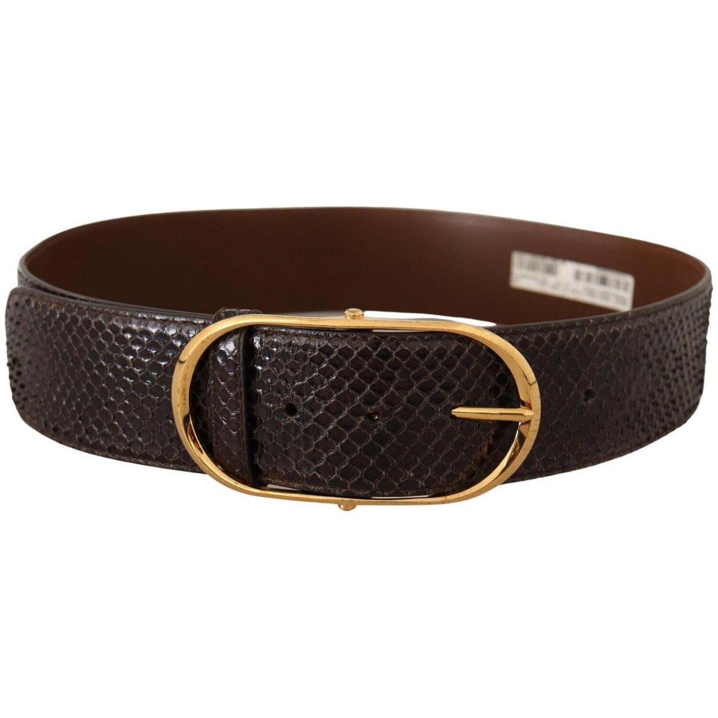 Dolce & Gabbana Elegant Python Leather Belt with Gold Buckle Dolce & Gabbana