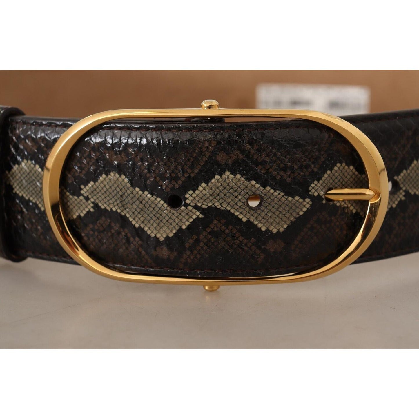 Dolce & Gabbana Elegant Snakeskin Belt with Gold Oval Buckle WOMAN BELTS Dolce & Gabbana