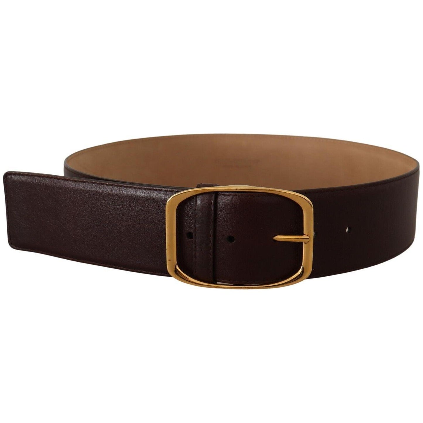 Dolce & Gabbana Elegant Dark Brown Leather Belt with Gold Buckle Dolce & Gabbana