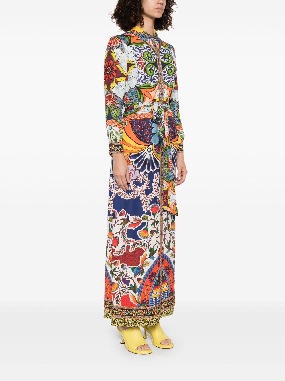 Alice + Olivia Chassidy printed shirt dress