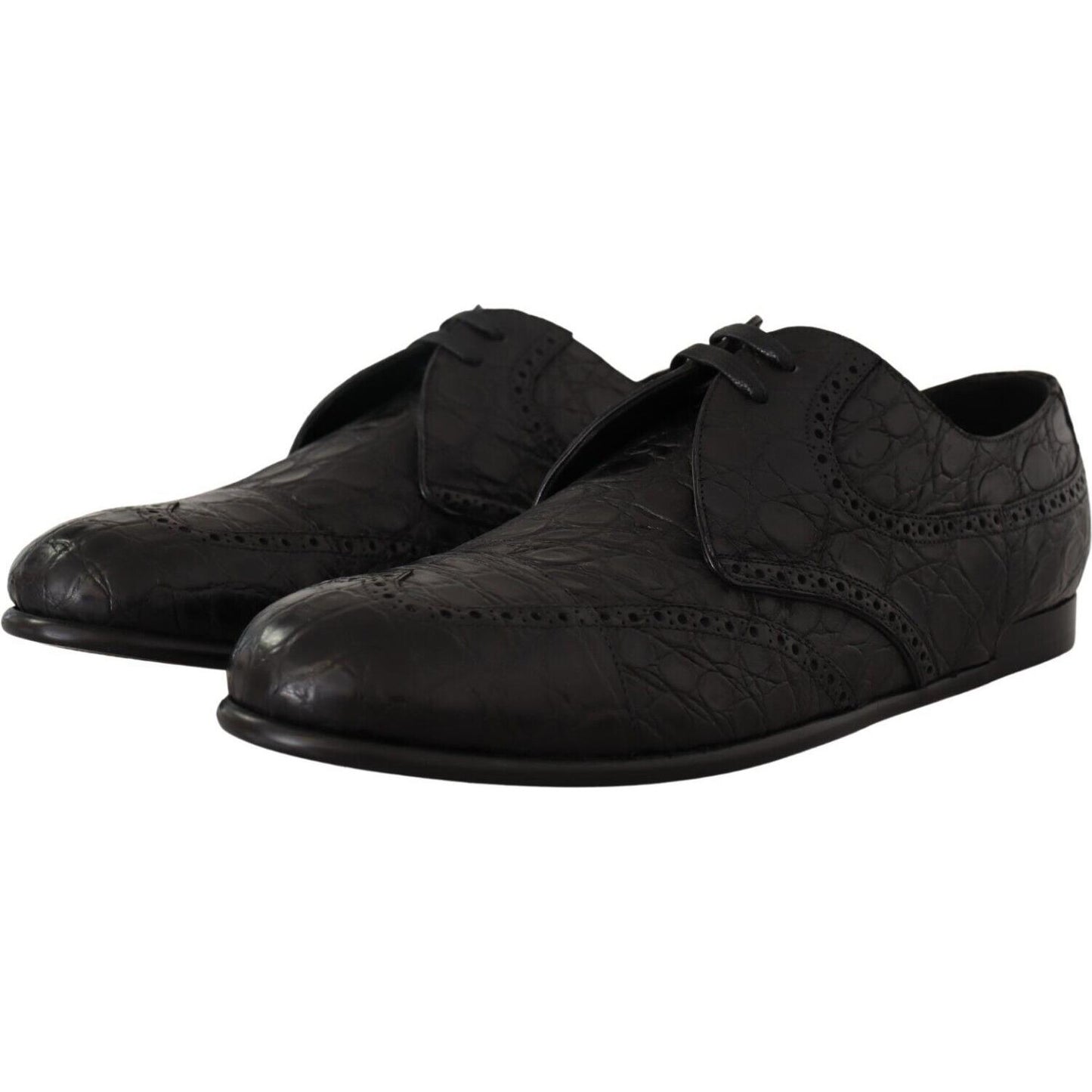 Dolce & Gabbana Exquisite Exotic Leather Derby Shoes Dolce & Gabbana