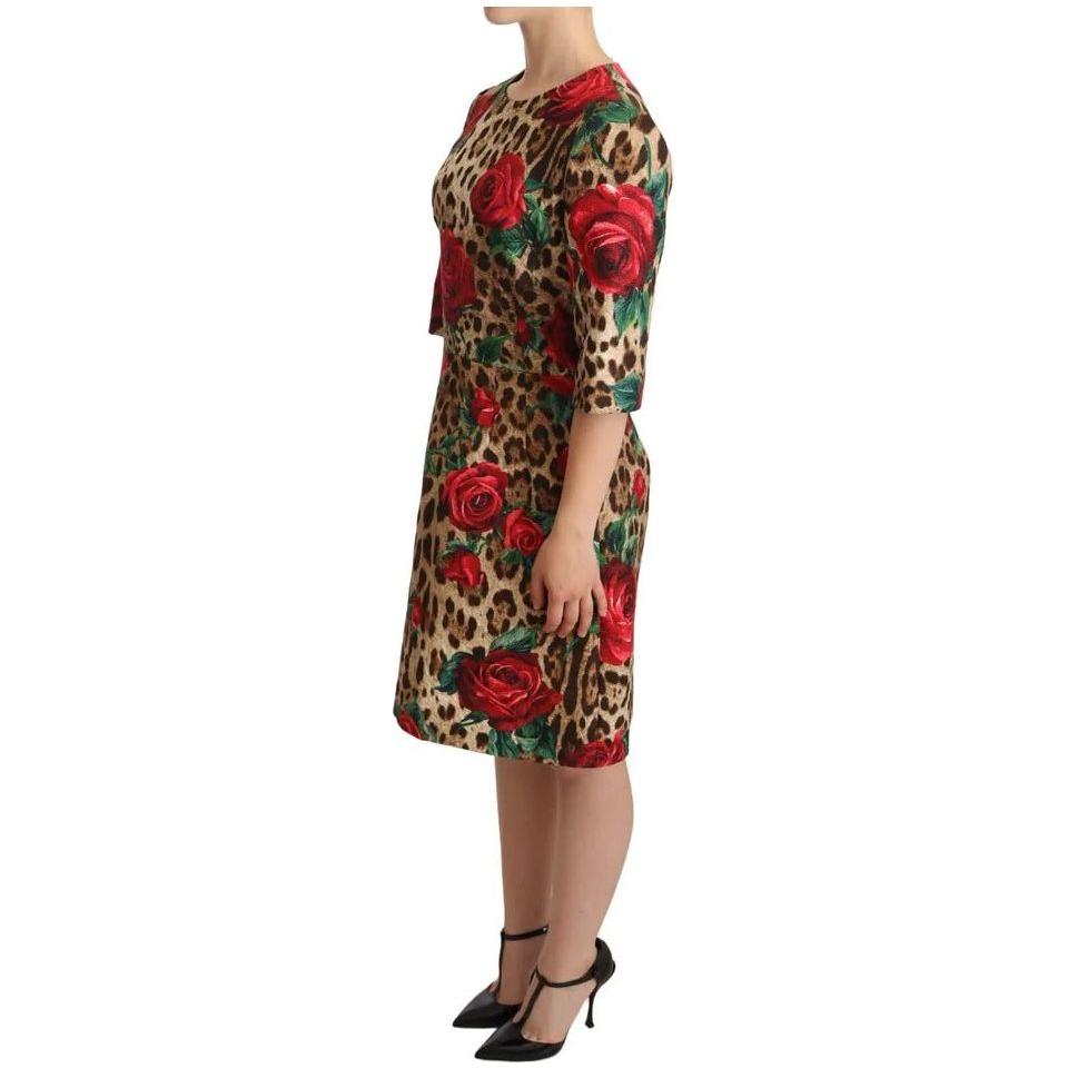 Dolce & Gabbana Brown Leopard Red Roses Cotton A-line Dress Dolce & Gabbana