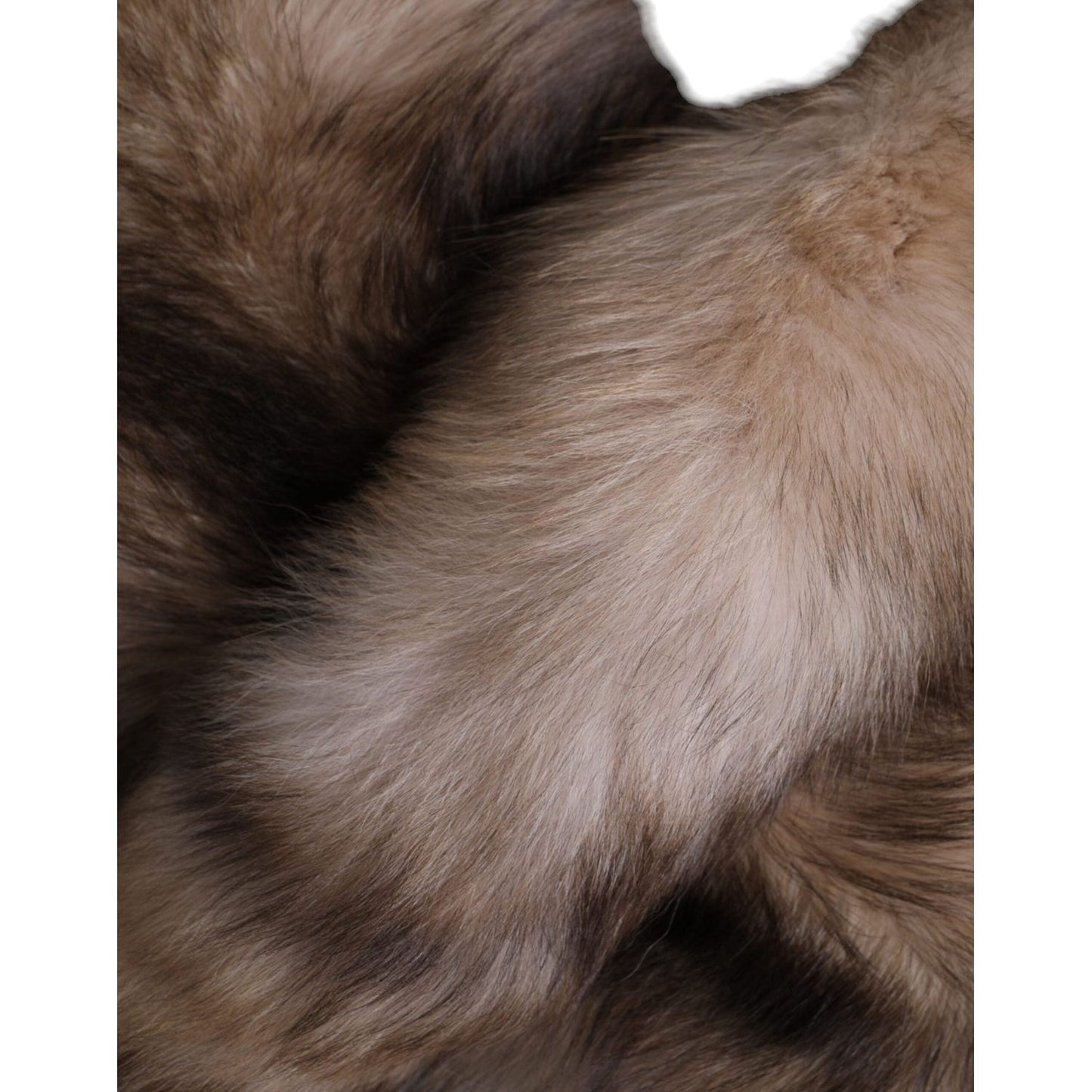 Dolce & Gabbana Brown Frost Fox Fur Neck Warmer Winter Scarf Dolce & Gabbana