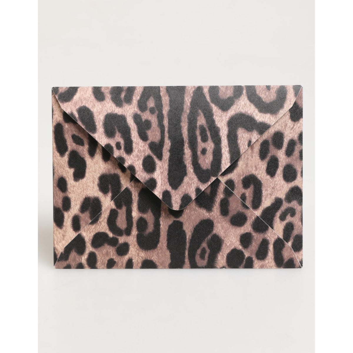 Dolce & Gabbana Multicolor Leopard Print Envelope Paper Post Card Holder