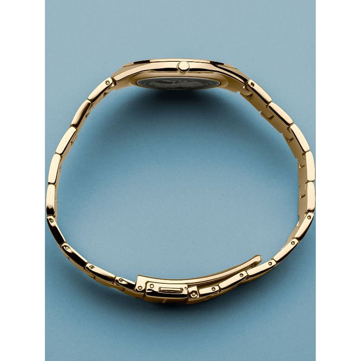BERING Mod. 17231-734